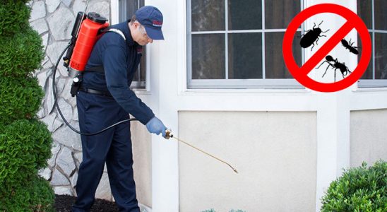 Aliağa Dezenfeksiyon böcek ilaçlama ve haşere kontrolü — ilaclama-tr.com